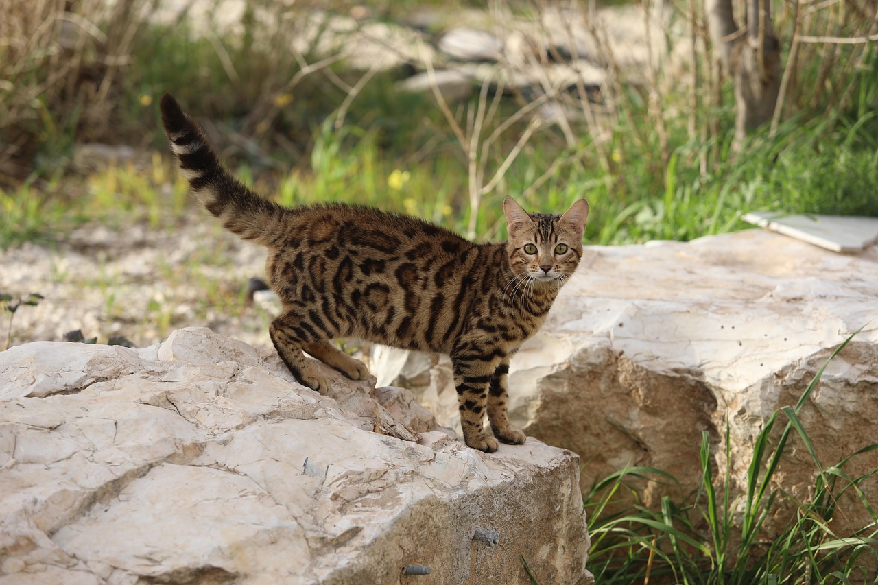 白髪ケアでセルフカラーの失敗回避法とは？