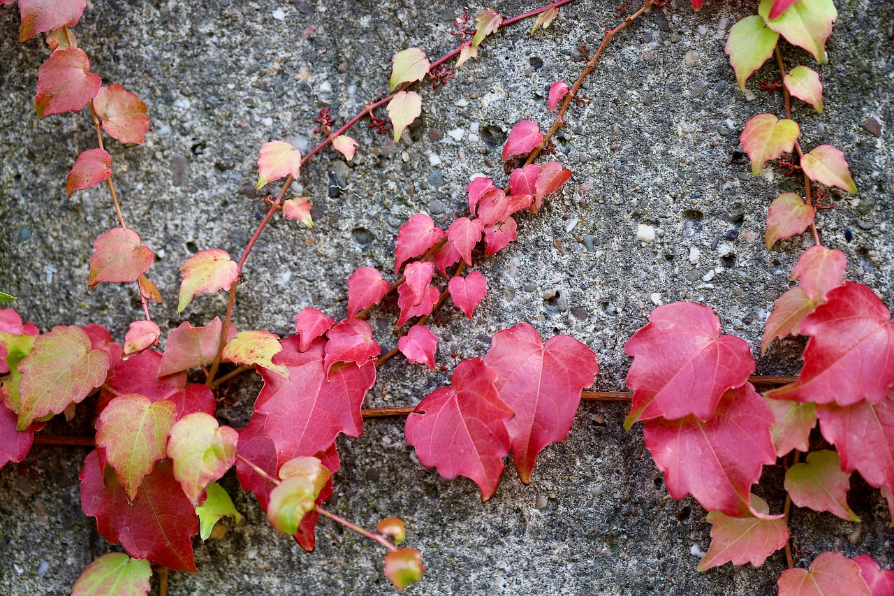 白髪ケアのセルフカラーで失敗を回避する方法は？