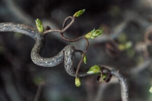 白髪ケアで頭皮が赤くなった時の対応方法は？