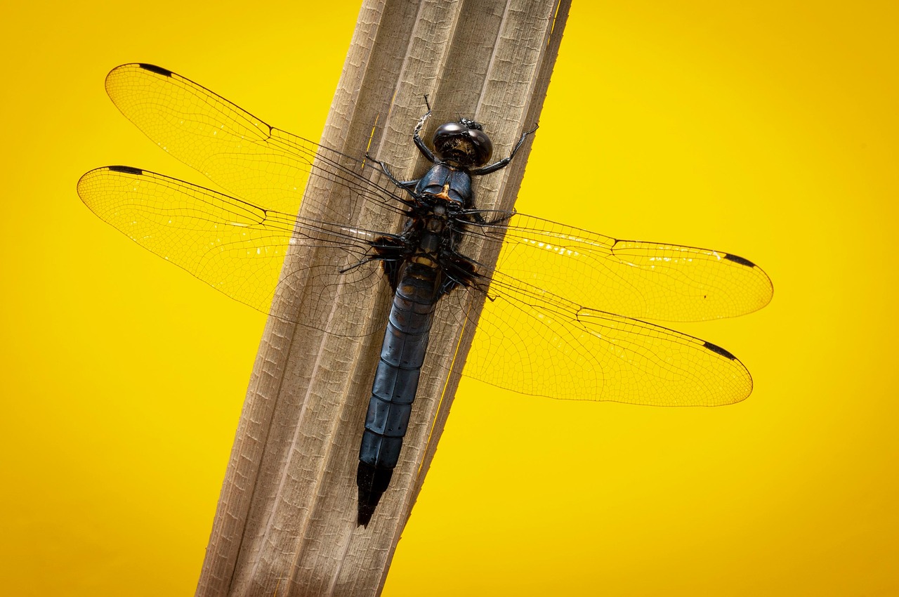 白髪ケアを取り入れた初デートでの印象を良くするトーンは？