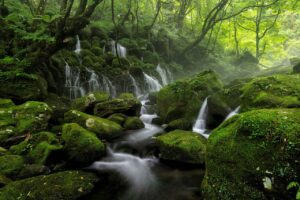 白髪ケアサプリは肌や爪にも効果があるか？