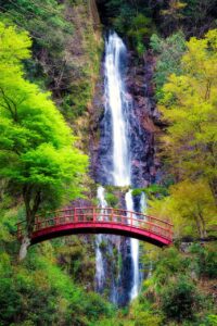 白髪ケアをしながら長期旅行中に色落ちを防ぐ方法は？