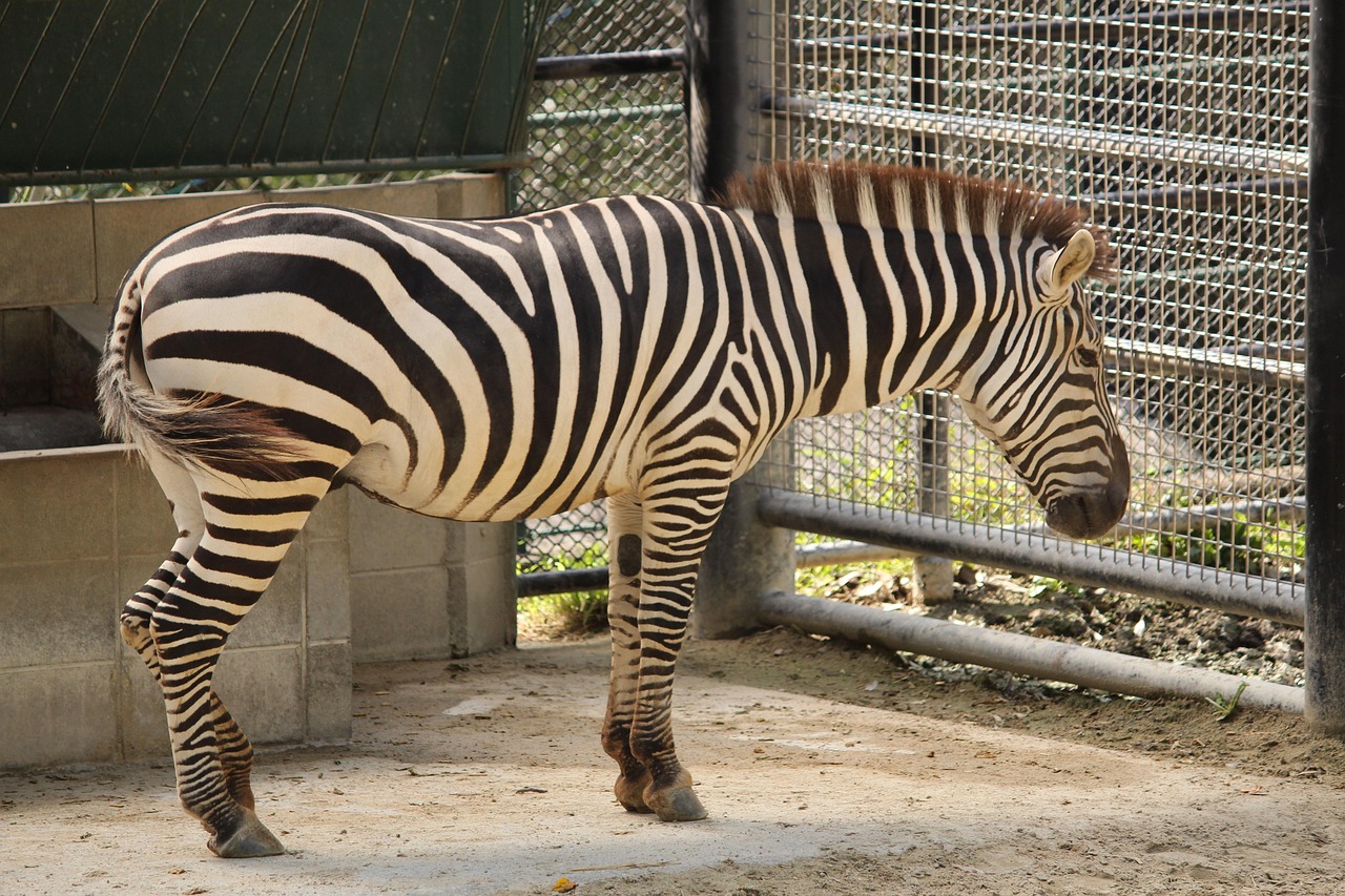 白髪ケアで福岡天神の安い白髪ぼかし店はどこ？