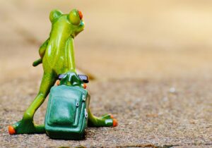 白髪ケアをしながら旅行で撮影した自然の写真は加工なしでも美しい？